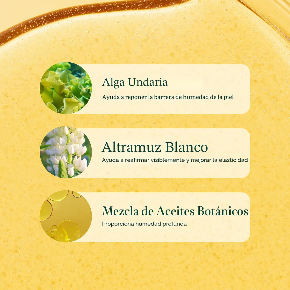 Undaria - Aceite corporal de algas 5 onzas | Mejora la elasticidad...