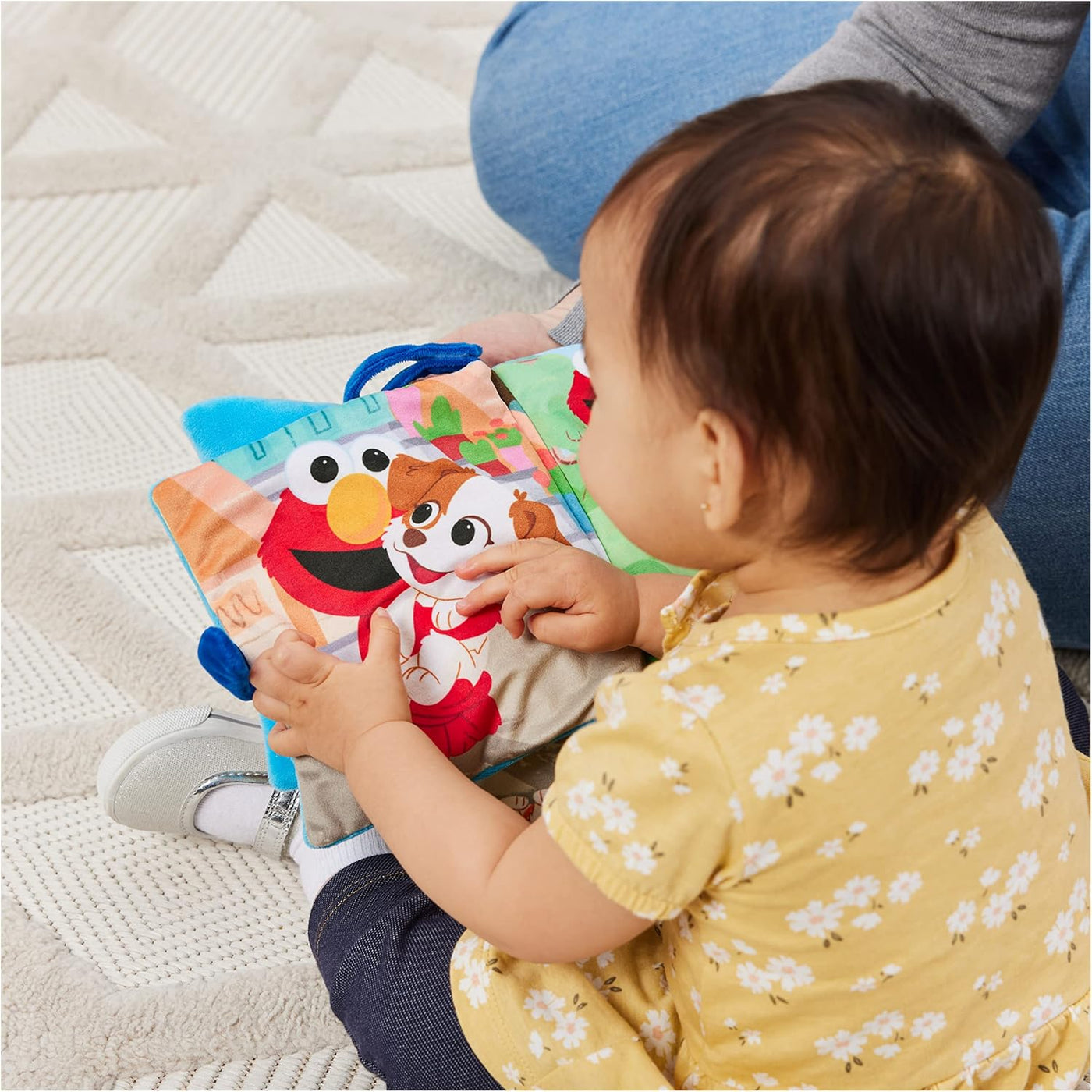 GUND Sesame Street Furry Friends Forever Soft Book juguete sensoria...