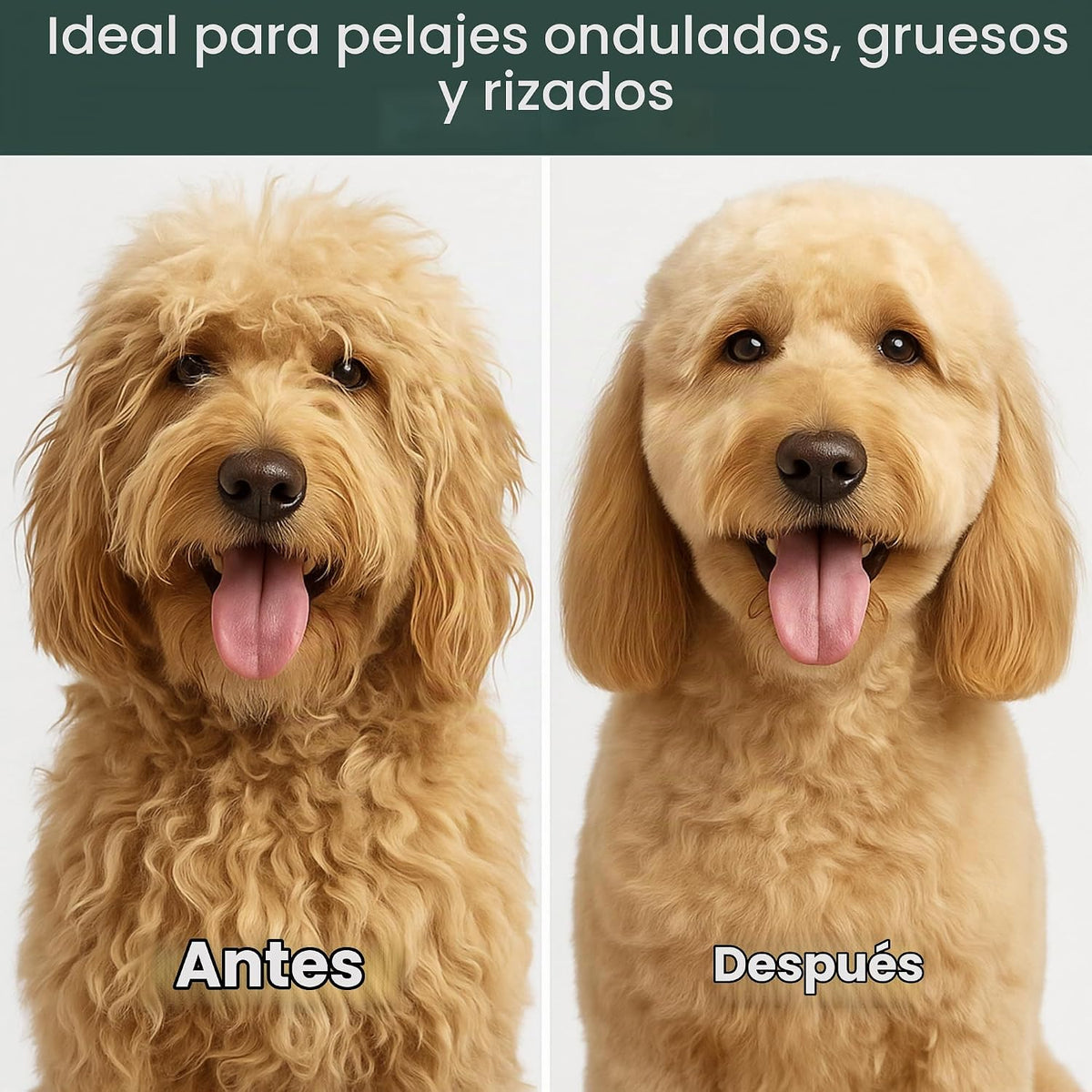 Peine desenredante para perros \u2013 Herramienta desenredante para...