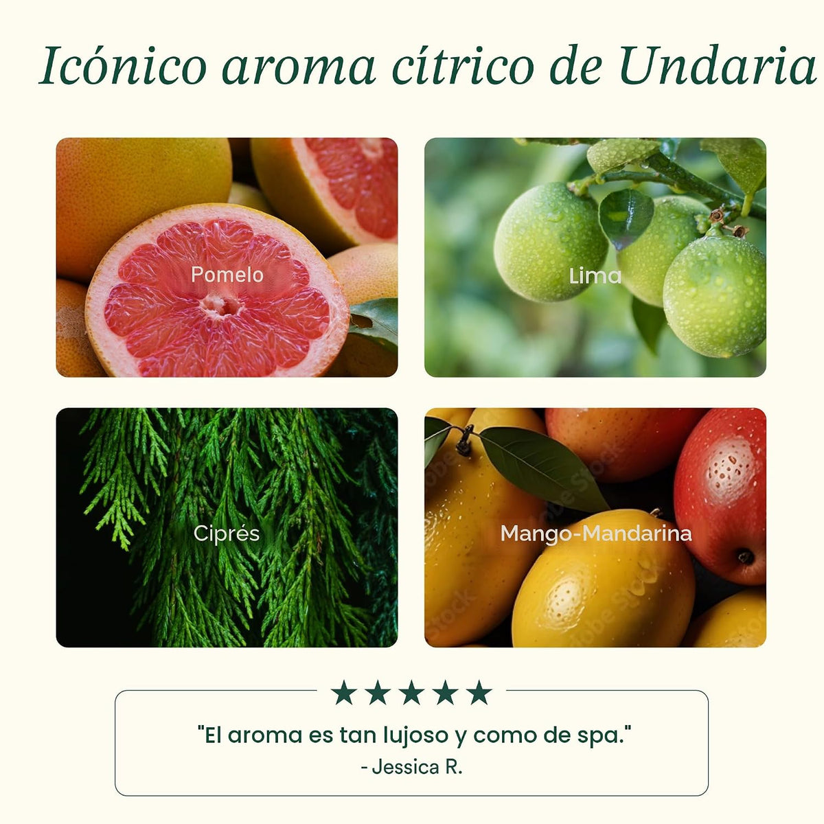 OSEA Undaria Algae™ Mantequilla corporal 6.7 oz - Para piel seca -...