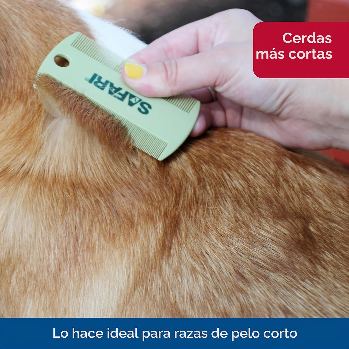 Coastal Pet Safari - Peine de aseo de doble cara \u2013 Kit de aseo...