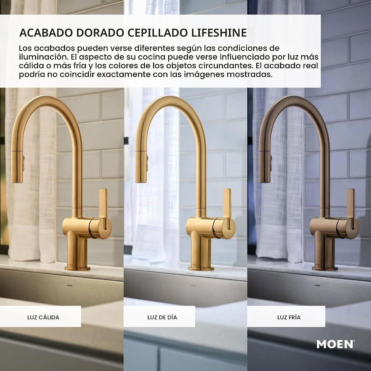 Moen Cubierta de drenaje de ducha a presión para uso con desagüe de...