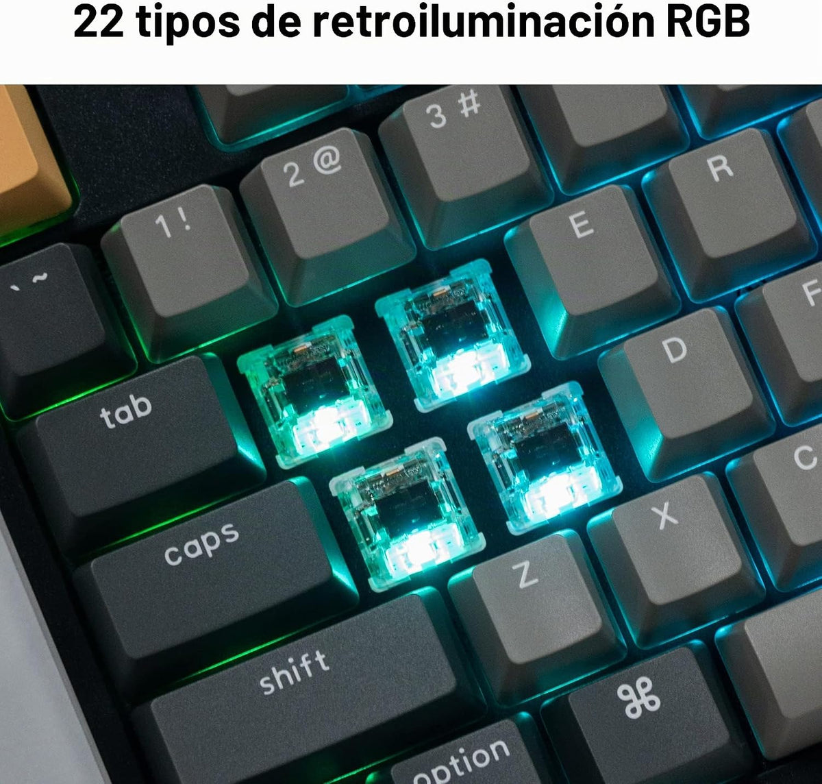 Keychron C2 Pro Teclado mecánico personalizado con cable Diseño de...