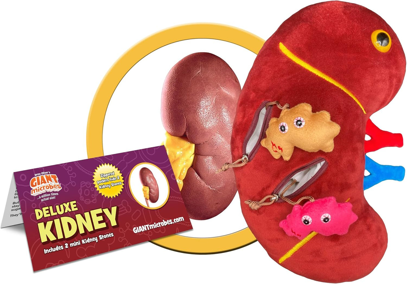 GIANT MICROBES Peluche de riñón de lujo de 12 pulgadas, incluye pel...