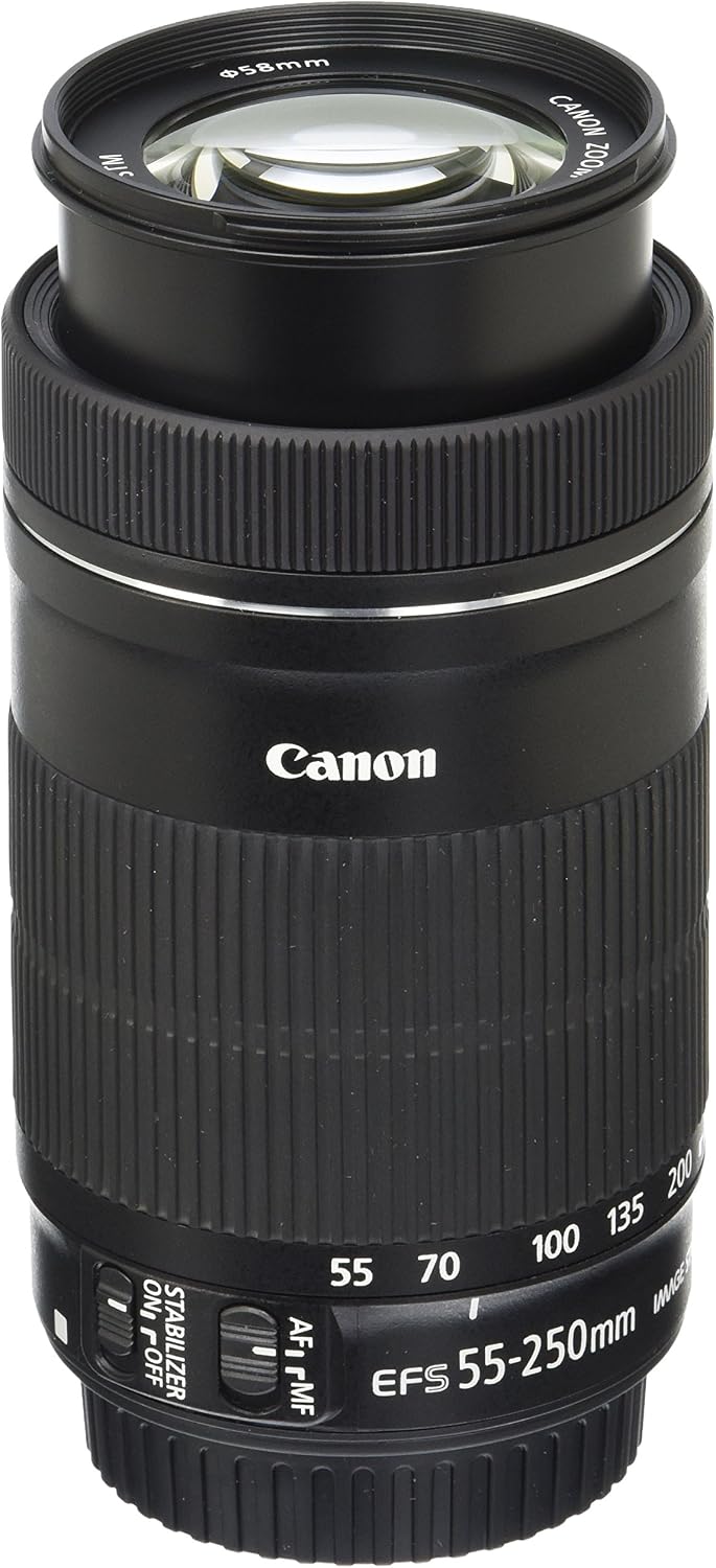 Canon 55-250mm STM.