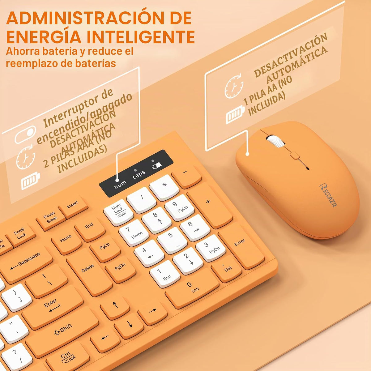 Teclado inalámbrico y mouse combinado silencioso para oficina y hog...