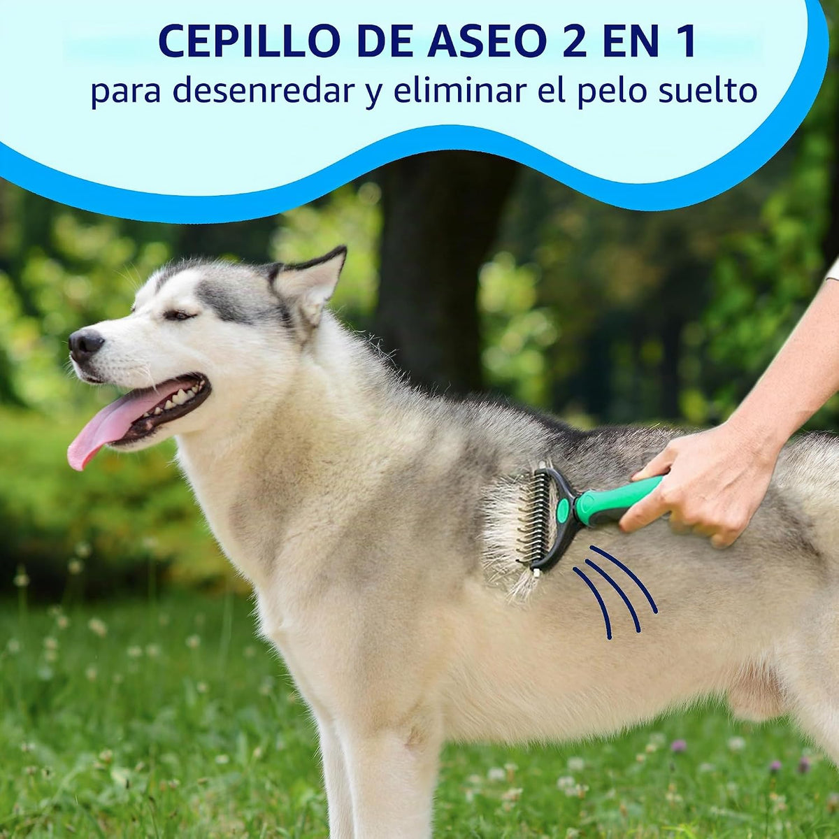 Pat Your Pet Combo de cepillo de deshedding y peine de metal para g...