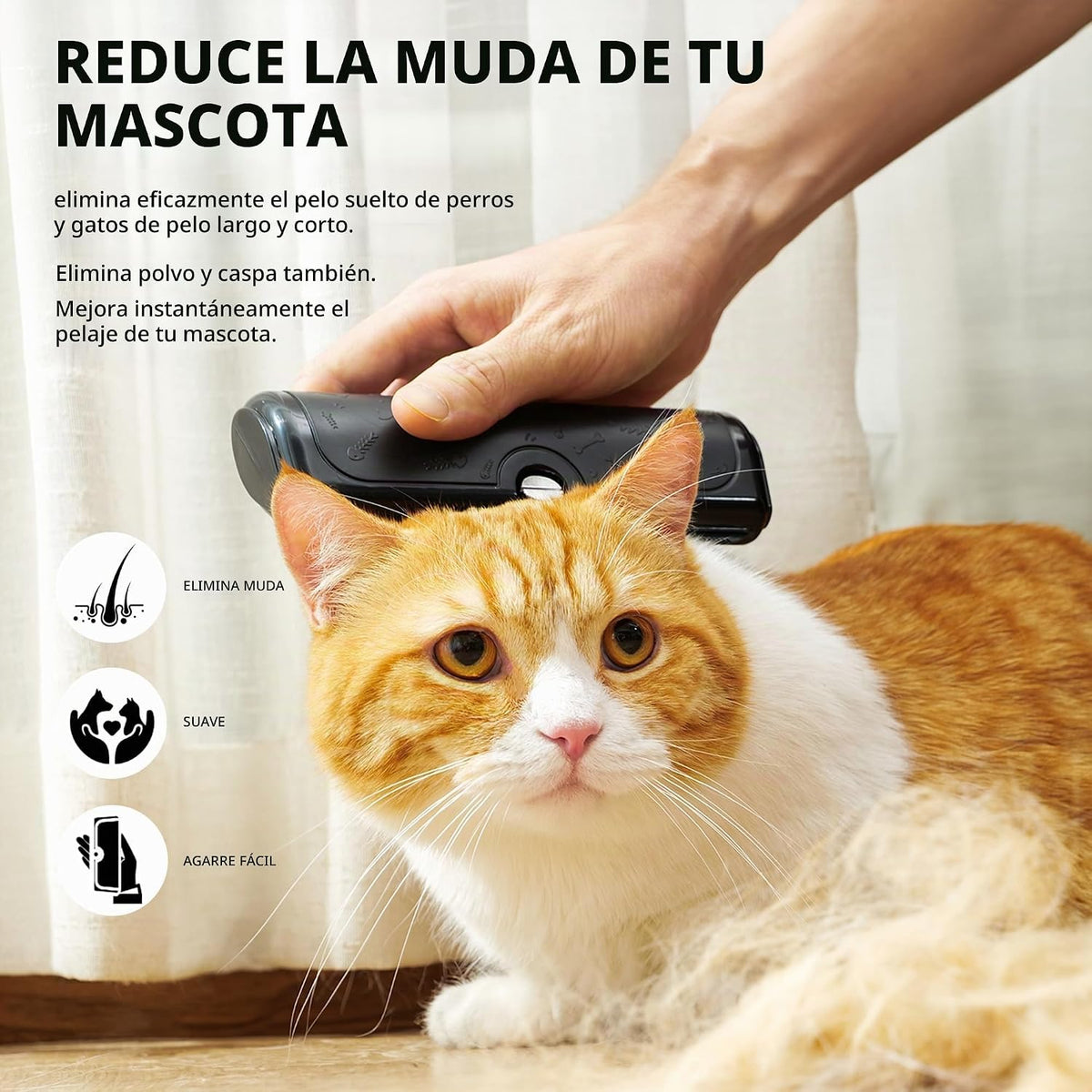 PetPog - Cepillo para perros para pelo corto, color negro | Hoja de...