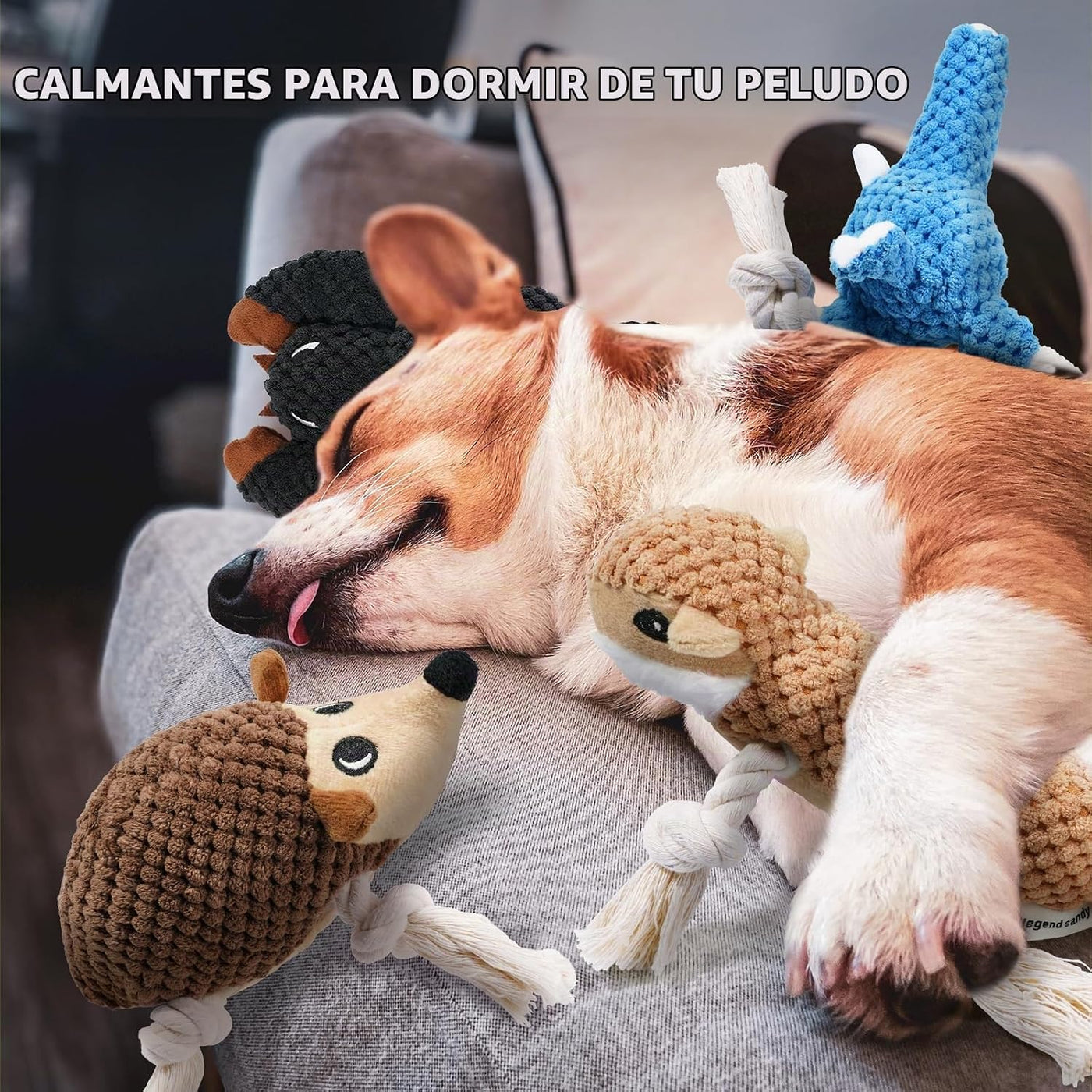 LEGEND SANDY Juguetes chirriantes para cachorros, paquete de 5 jugu...