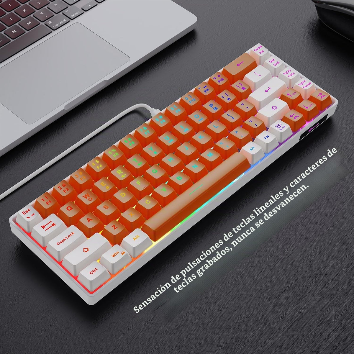 GEODMAER Teclado para juegos 65%, mini teclado con cable retroilumi...