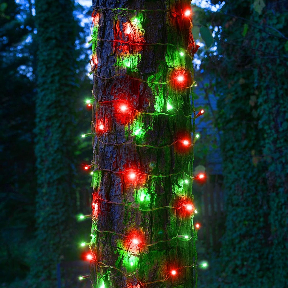 Dazzle Bright - Guirnalda de luces LED para Navidad rojas y verdes...