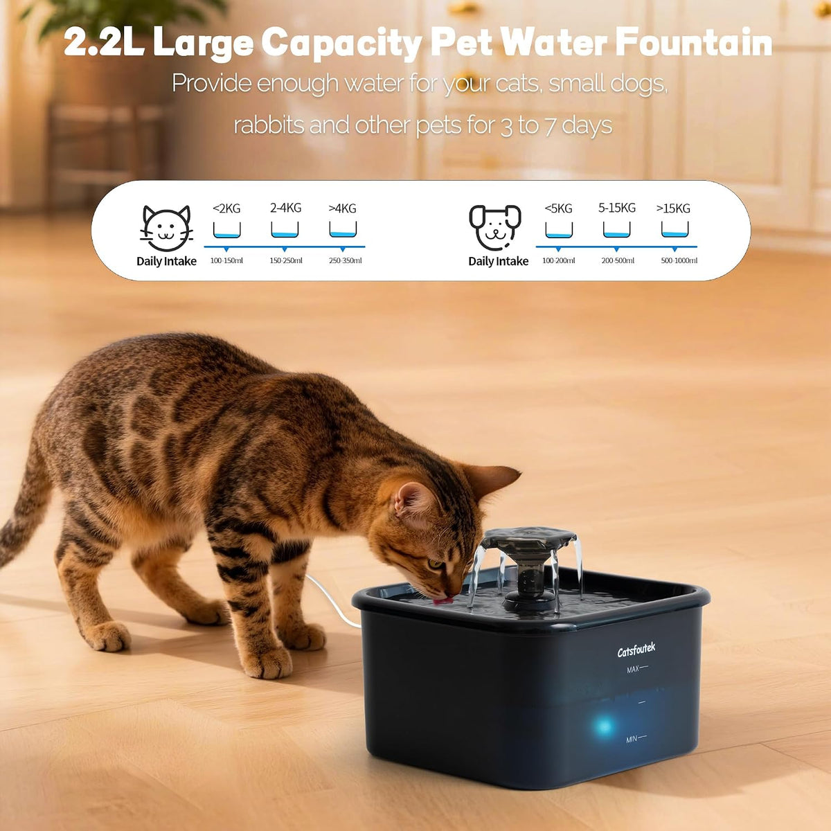 Fuente de agua para gatos, 74 oz\/2.2 L, fuentes de agua Catsfoutek...