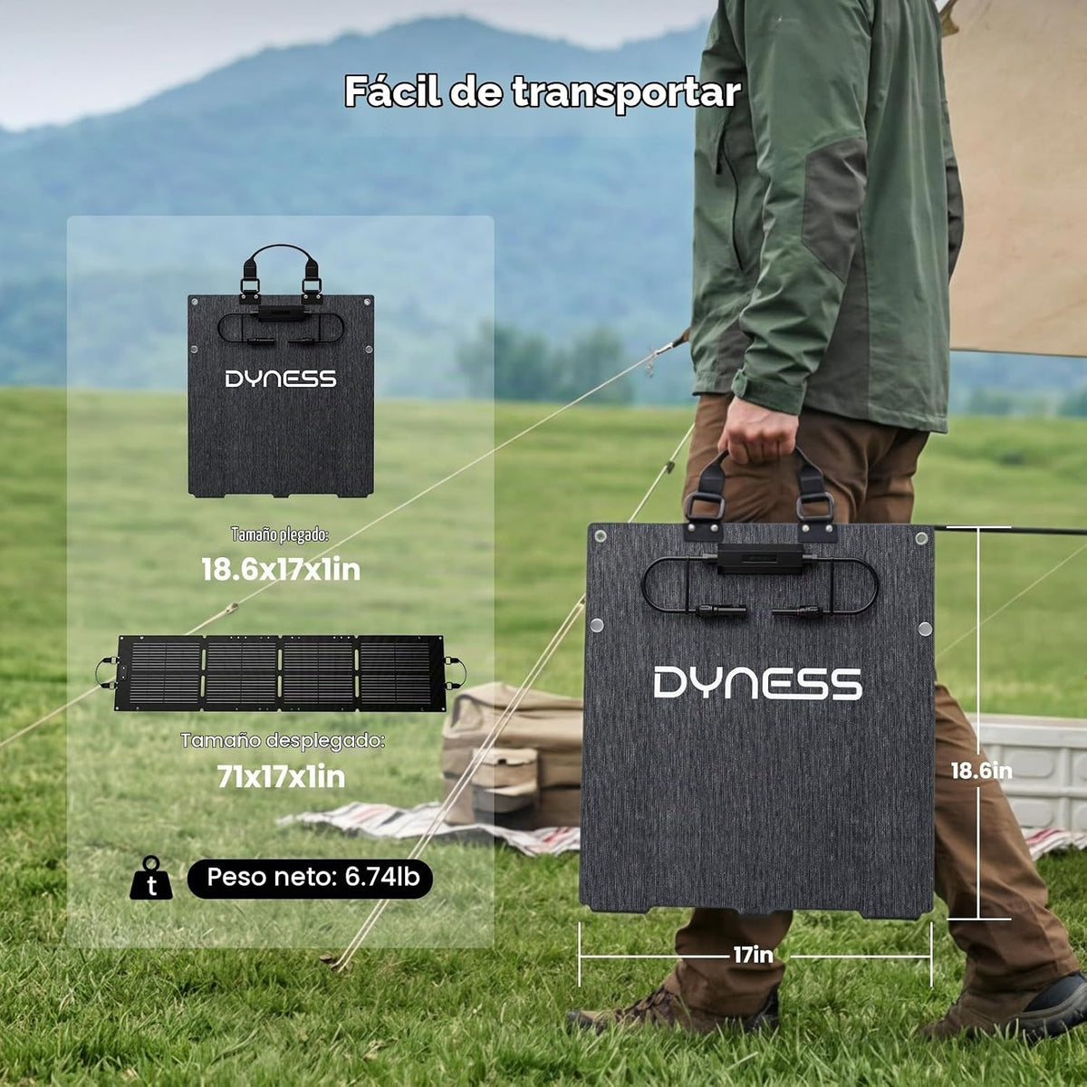 DYNESS LiFePO4 - Generador solar de 2048 Wh con panel solar plegabl...