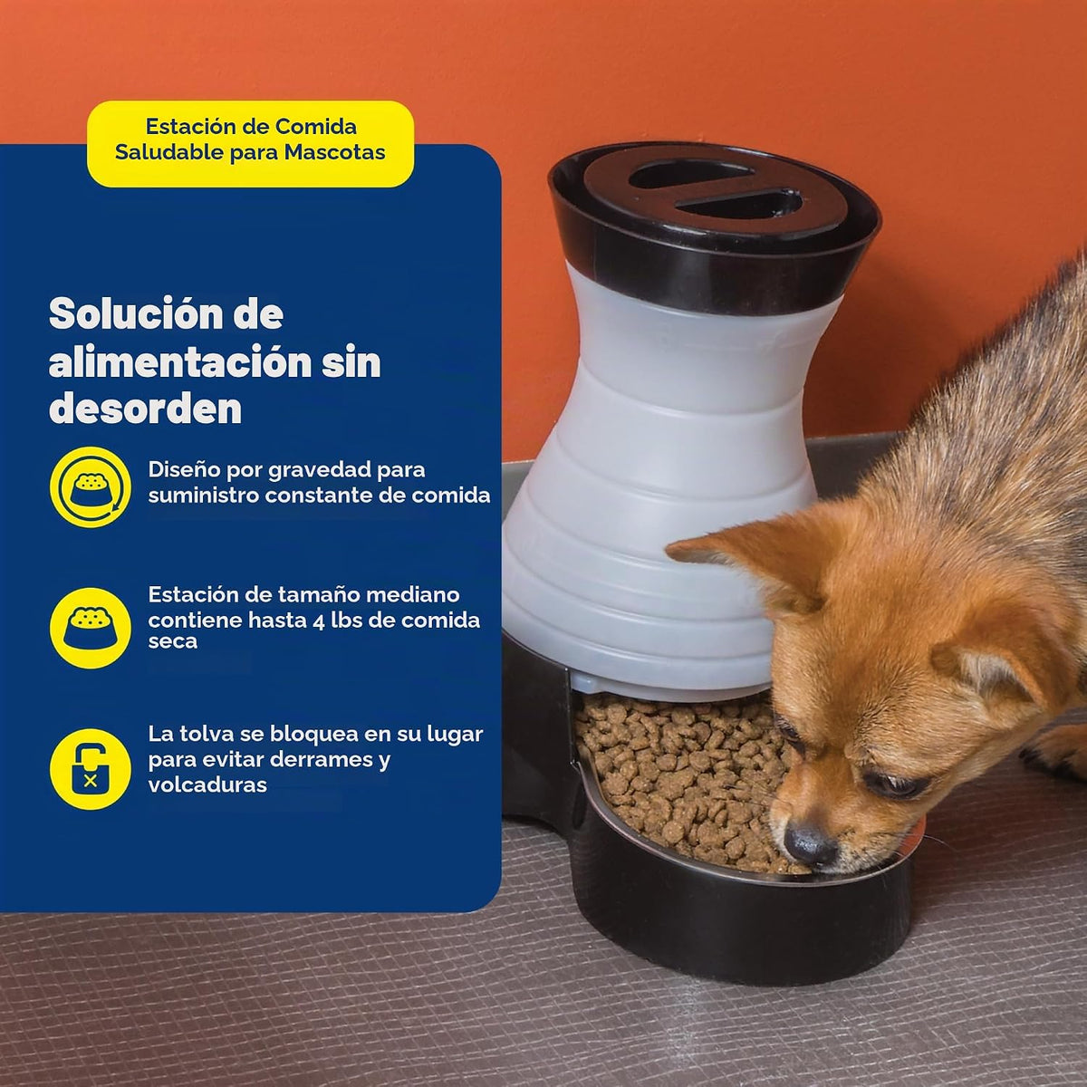 Estación de comida PetSafe para perros y gatos con tazón de acero i...