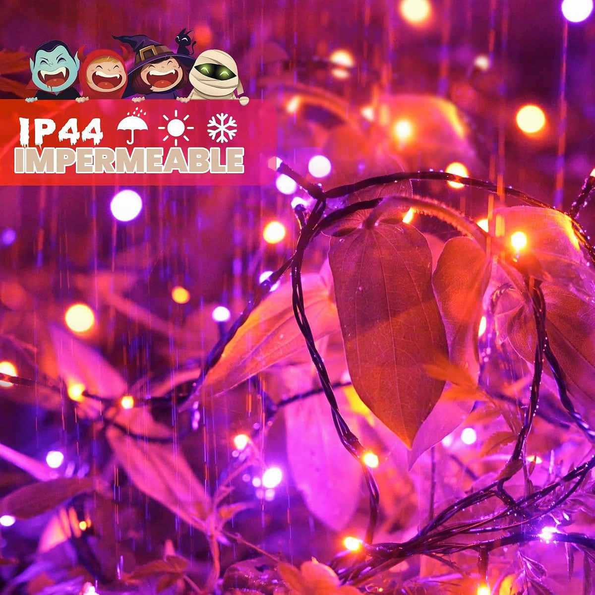 JMEXSUSS - Cadena de luces de Halloween de 250 luces LED naranja y...