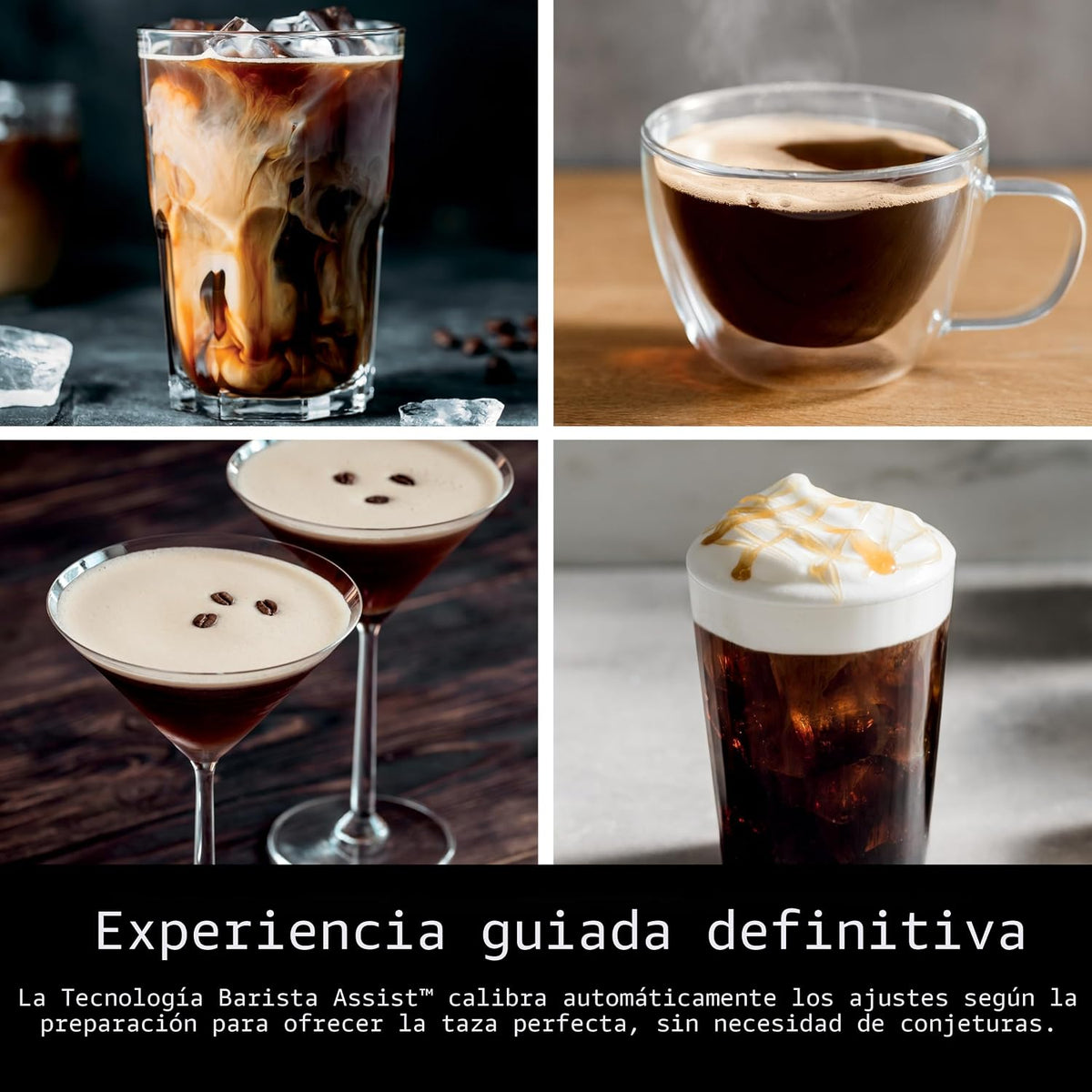 Ninja R-ES601 Luxe Café Premier Series - Máquina de café expreso, c...