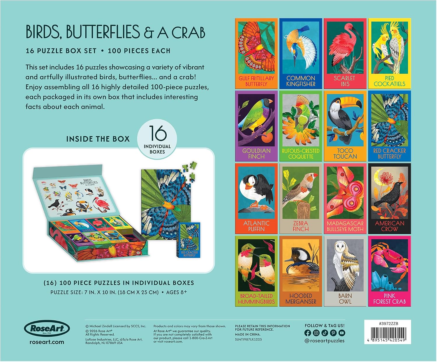 RoseArt - Juego de caja de rompecabezas con diseño de pájaros, mari...