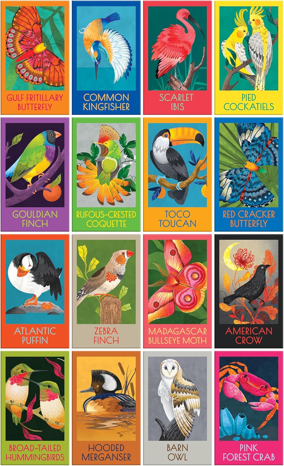 RoseArt - Juego de caja de rompecabezas con diseño de pájaros, mari...