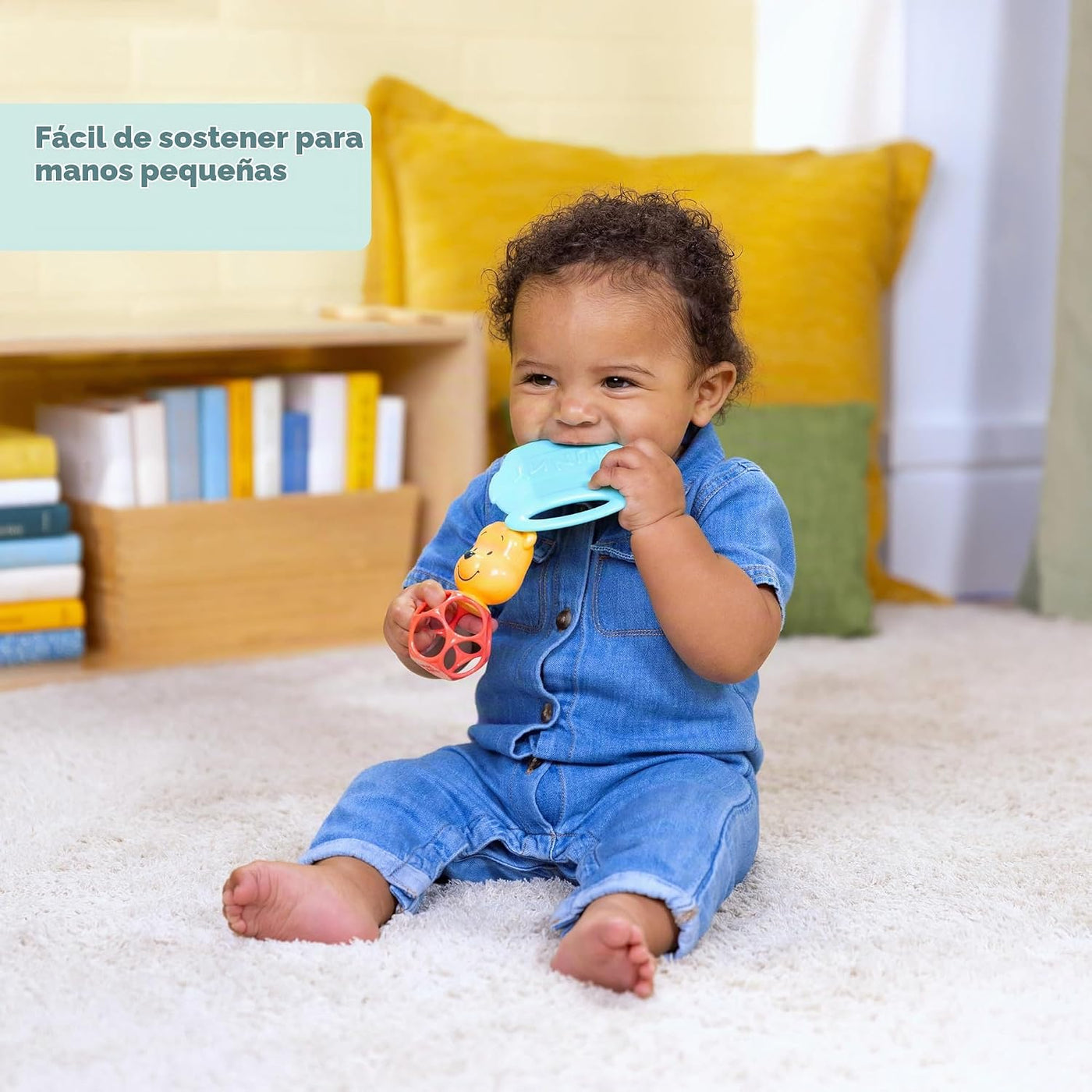 Bright Starts Disney Baby Winnie The Pooh Hunny &amp; Shake - Sonaj...