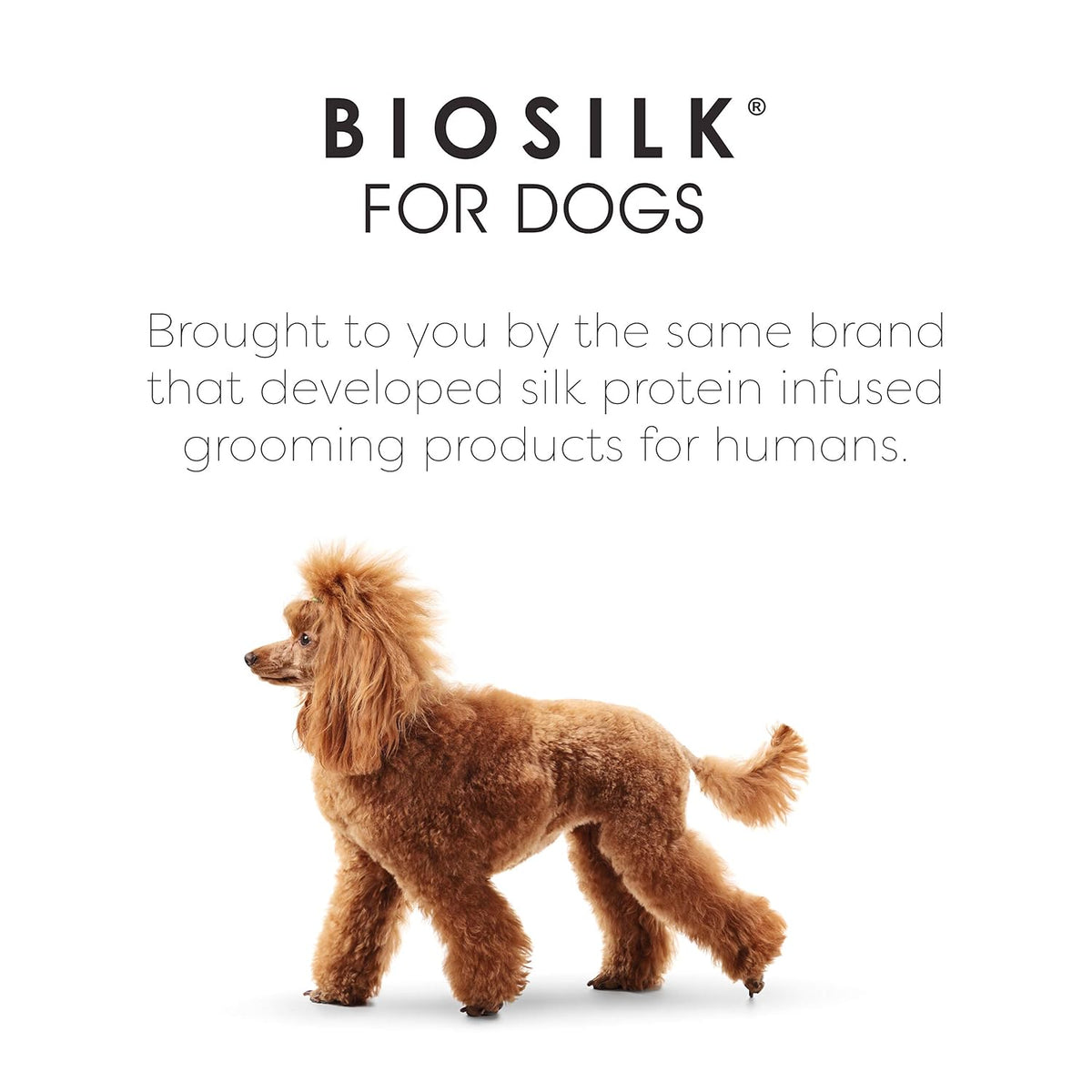 BioSilk para Mascotas Cepillo de Clavijas Desenredante Ecológico pa...