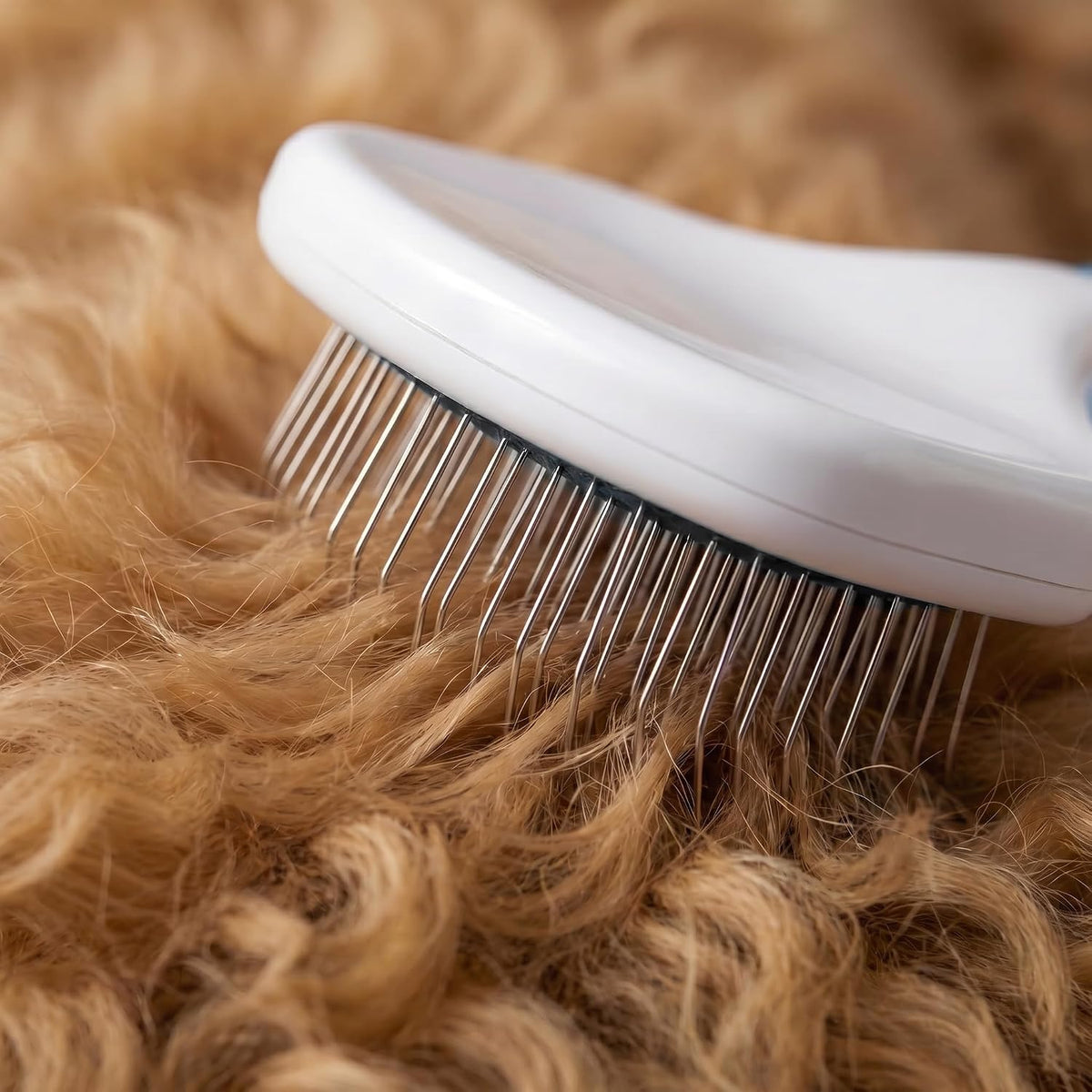 Poodle Pet Slicker Brush \u2013 Para perros, gatos y conejos \u2013...