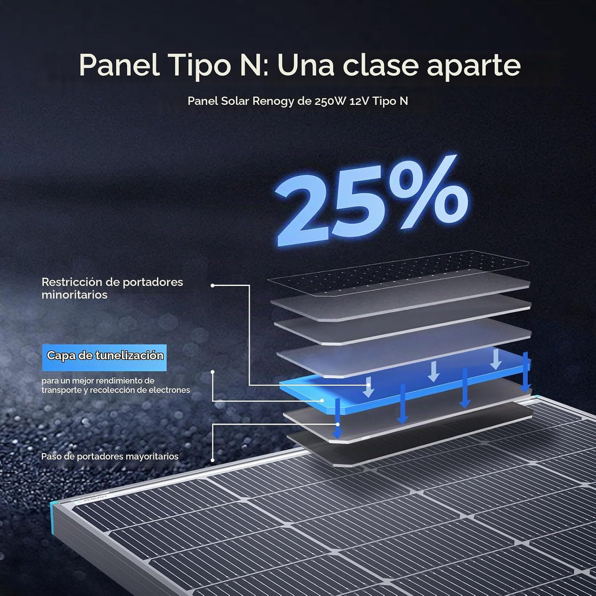 Renogy Panel Solar Bifacial de 250W Tipo N 16BB, Panel Solar de 250...