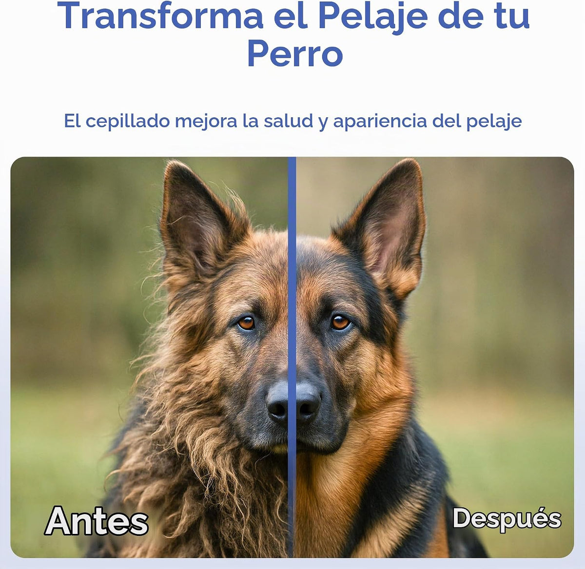 AKC Cepillo de aseo de doble cara para perros, cerdas y alfiler, pe...