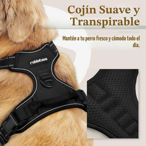 Arnés para perro rabbitgoo sin tirón con 2 clips de correa, acolcha...