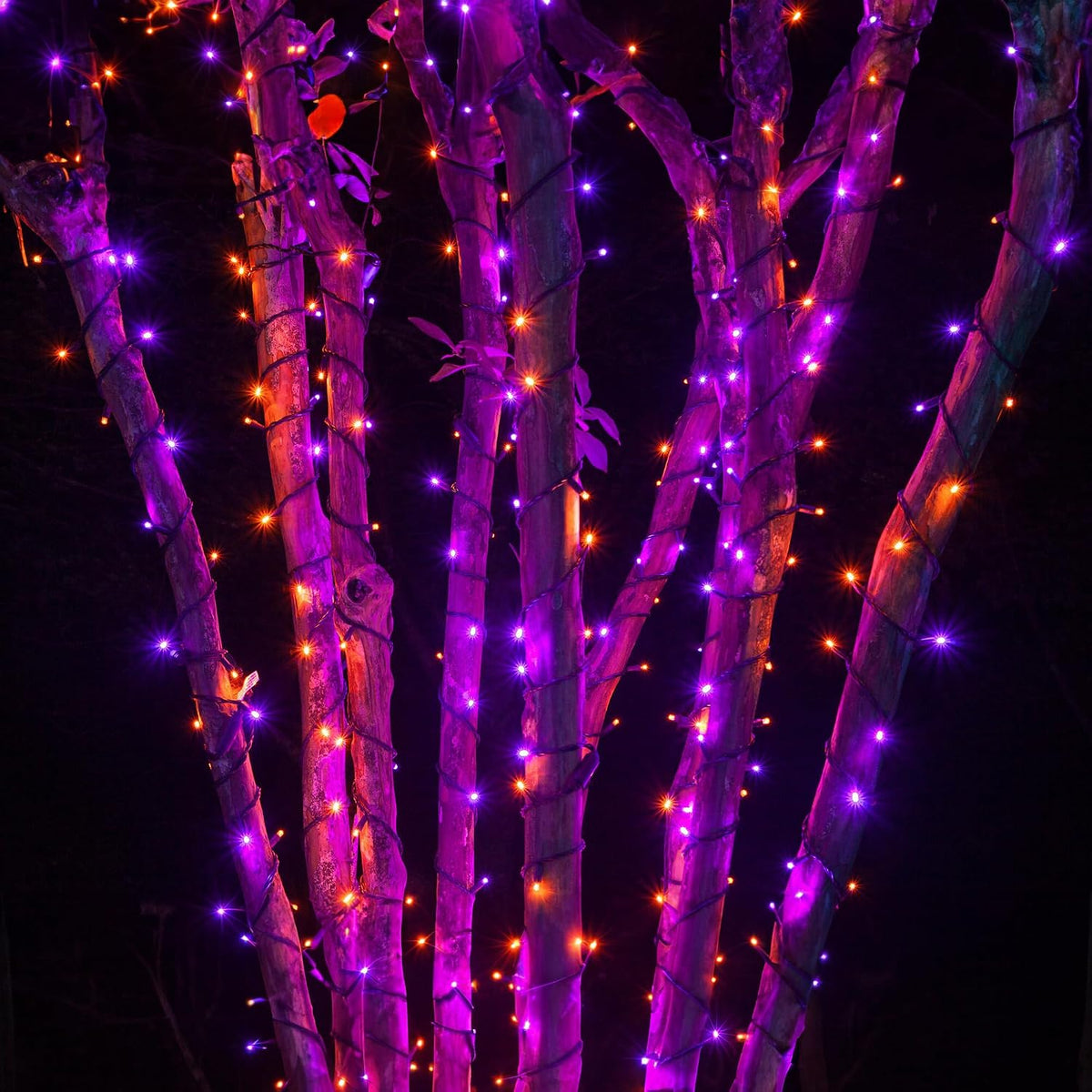 TW SHINE Luces de Halloween, 1000 LED de 328 pies de luces de Hallo...