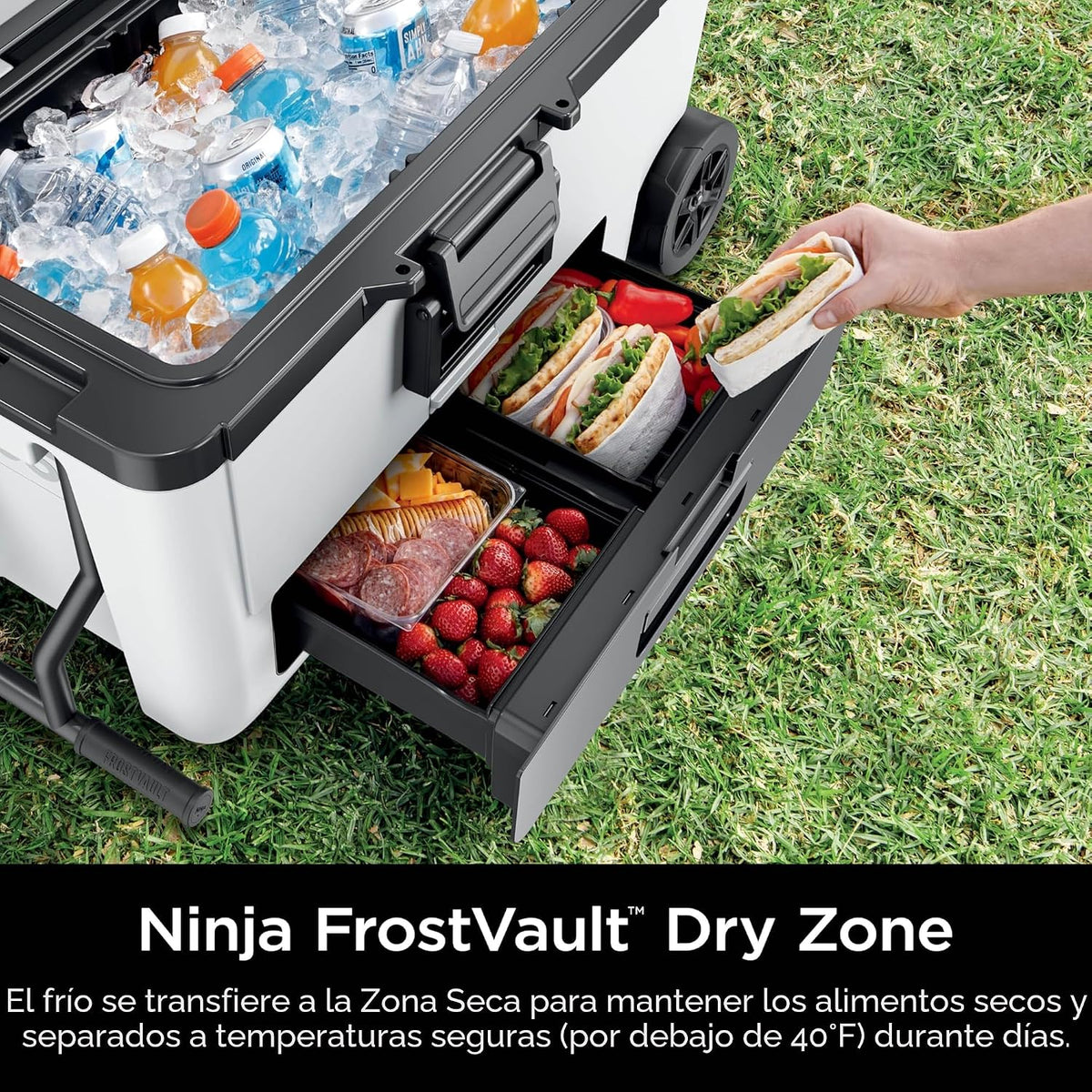 Ninja Enfriador FrostVault™ de 65 cuartos de galón con ruedas, cajó...