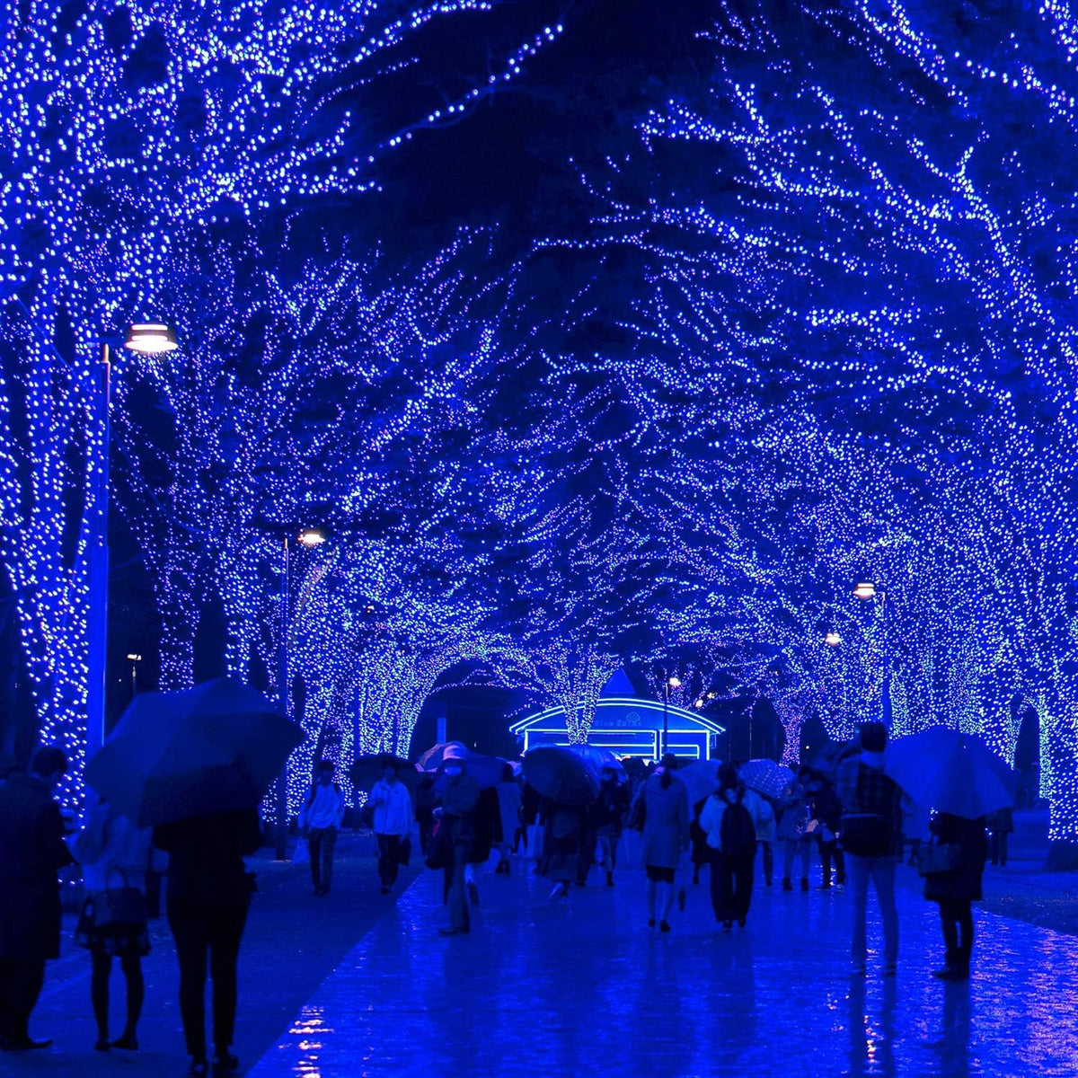 VTECHOLOGY Luces de Cadena de Navidad, 33 pies, 100 LEDs Azules Luc...