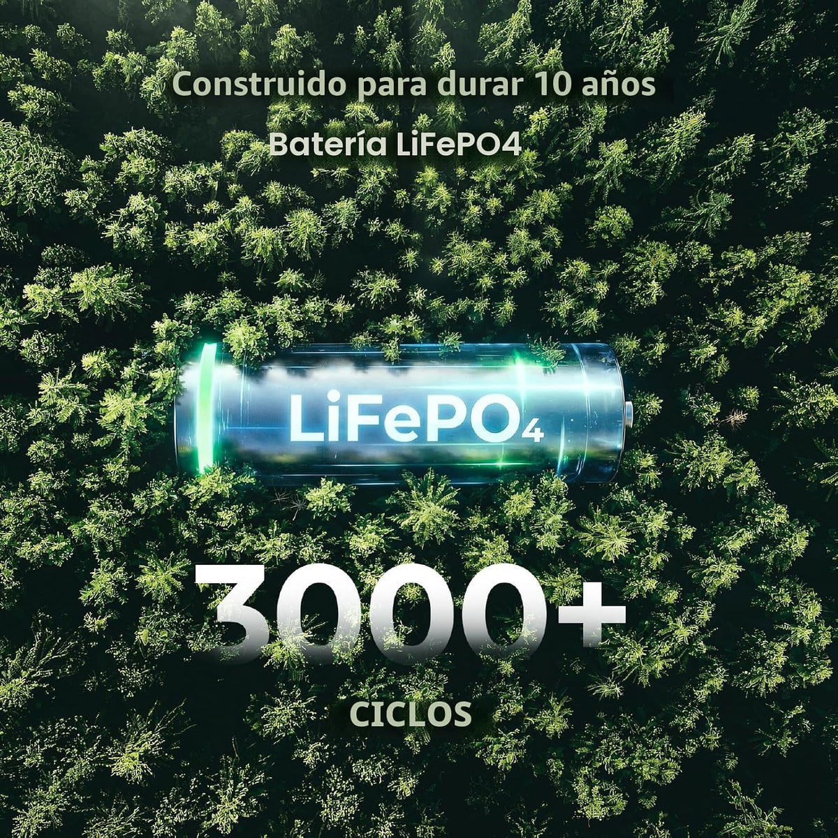 DYNESS Estación de energía portátil de 300 W, 256 Wh generador sola...