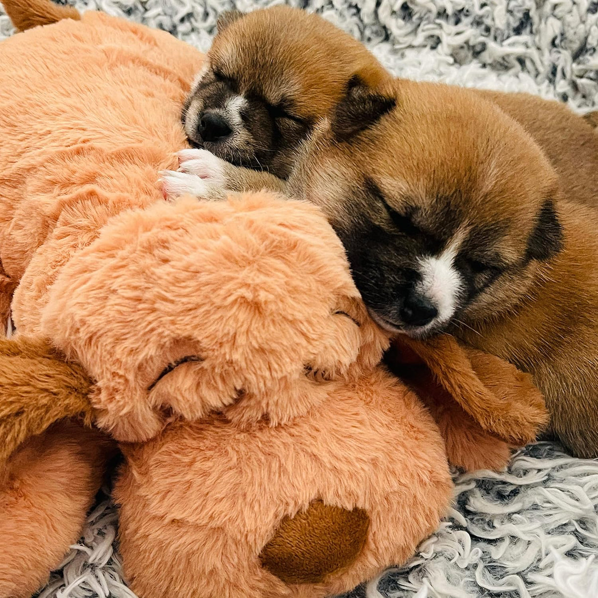 Snuggle Puppy Juguete con Pulso para Cachorros