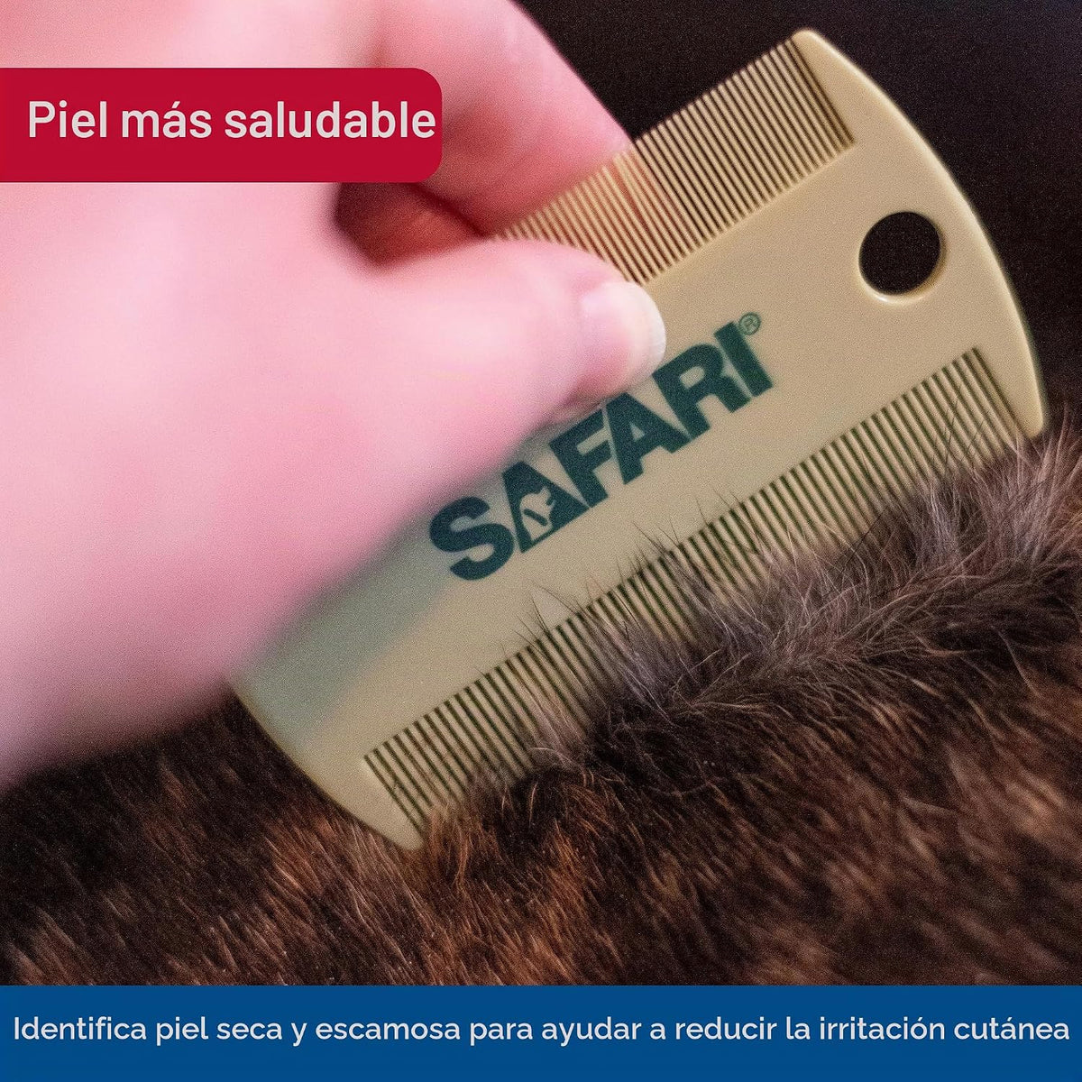 Coastal Pet Safari - Peine de aseo de doble cara \u2013 Kit de aseo...