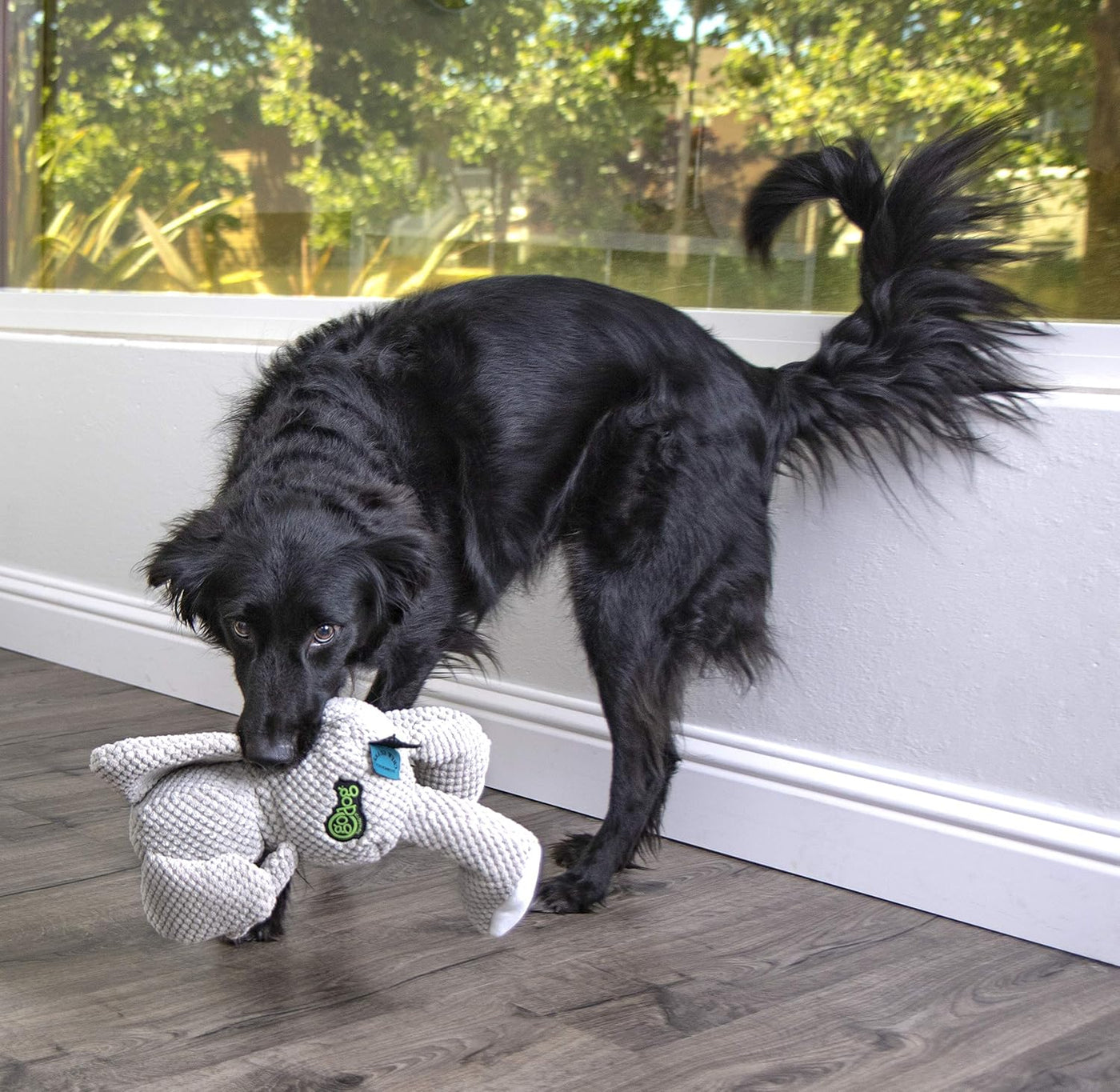 goDog Checkers - Juguete chirriante afelpado para perro, con tecnol...
