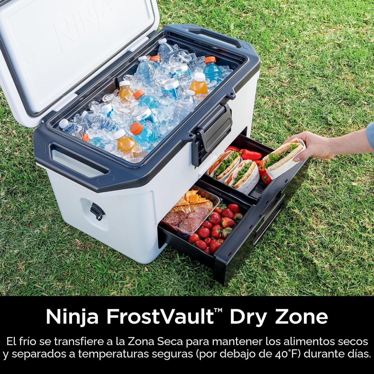 Ninja FrostVault - Enfriador duro de 50 cuartos con cajón de almace...