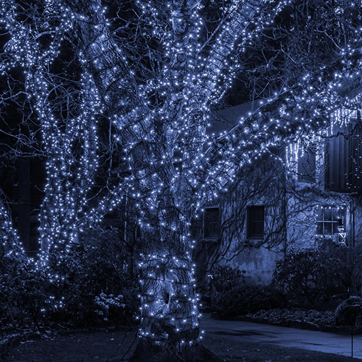 TW SHINE - Tira de luces de Navidad, 1000 luces LED de 328 pies de...