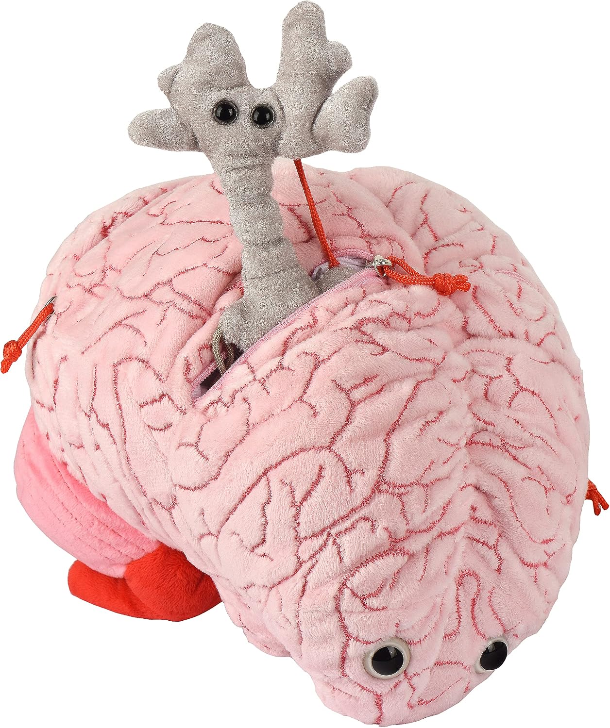 GIANT MICROBES Peluche de cerebro de lujo de 9.5 pulgadas, incluye...